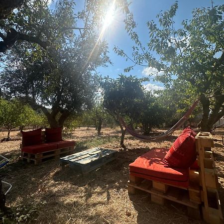 B&B Villa Tiziana モノーポリ エクステリア 写真