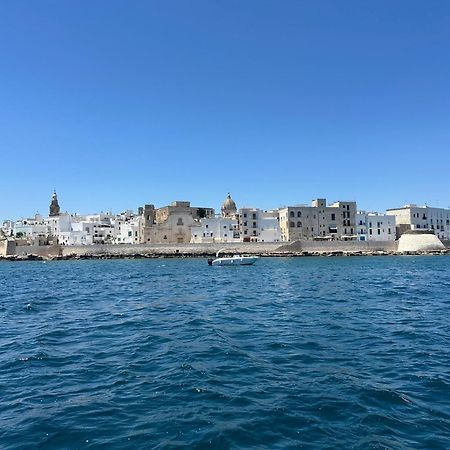 B&B Villa Tiziana モノーポリ エクステリア 写真