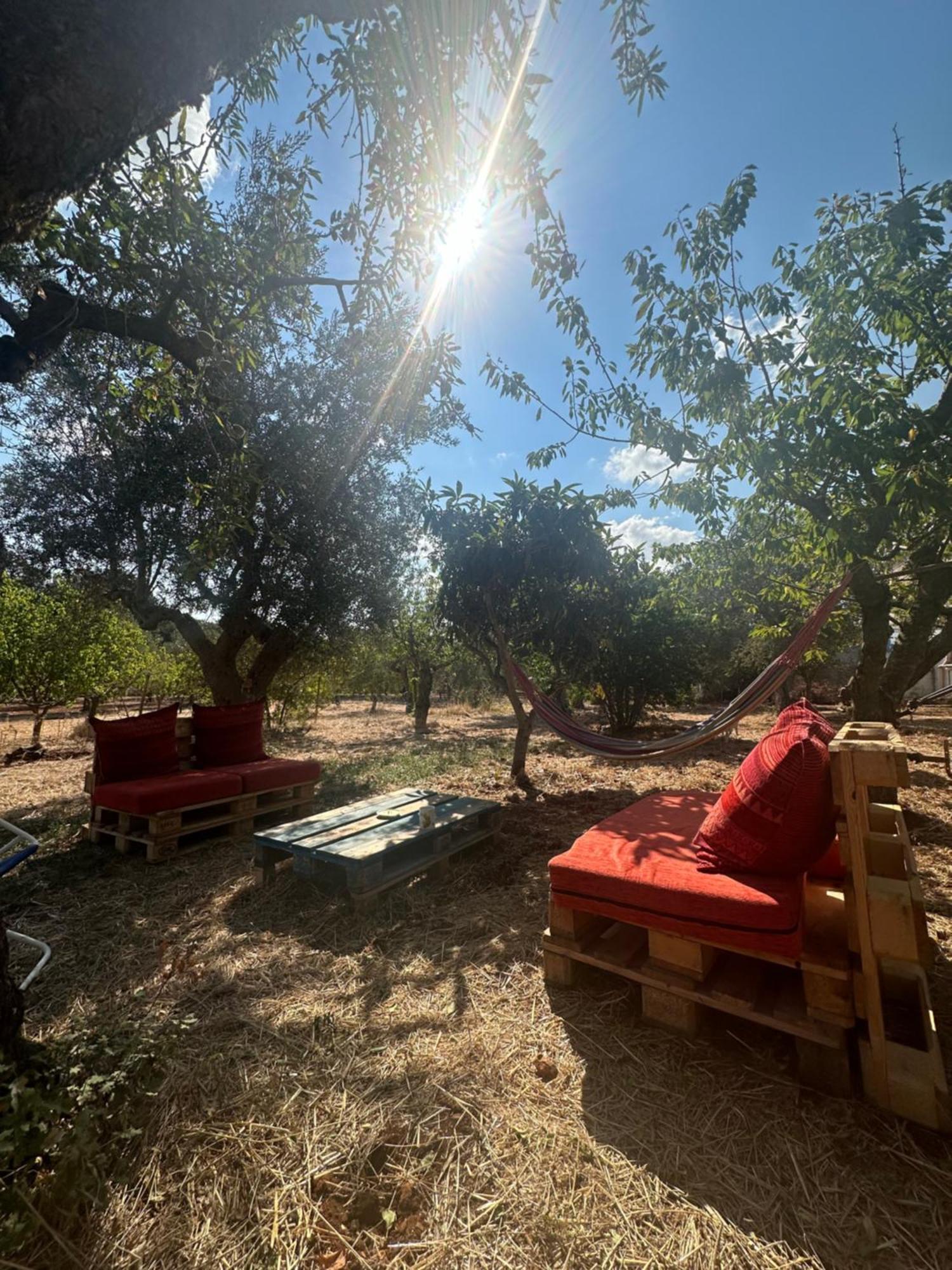 B&B Villa Tiziana モノーポリ エクステリア 写真