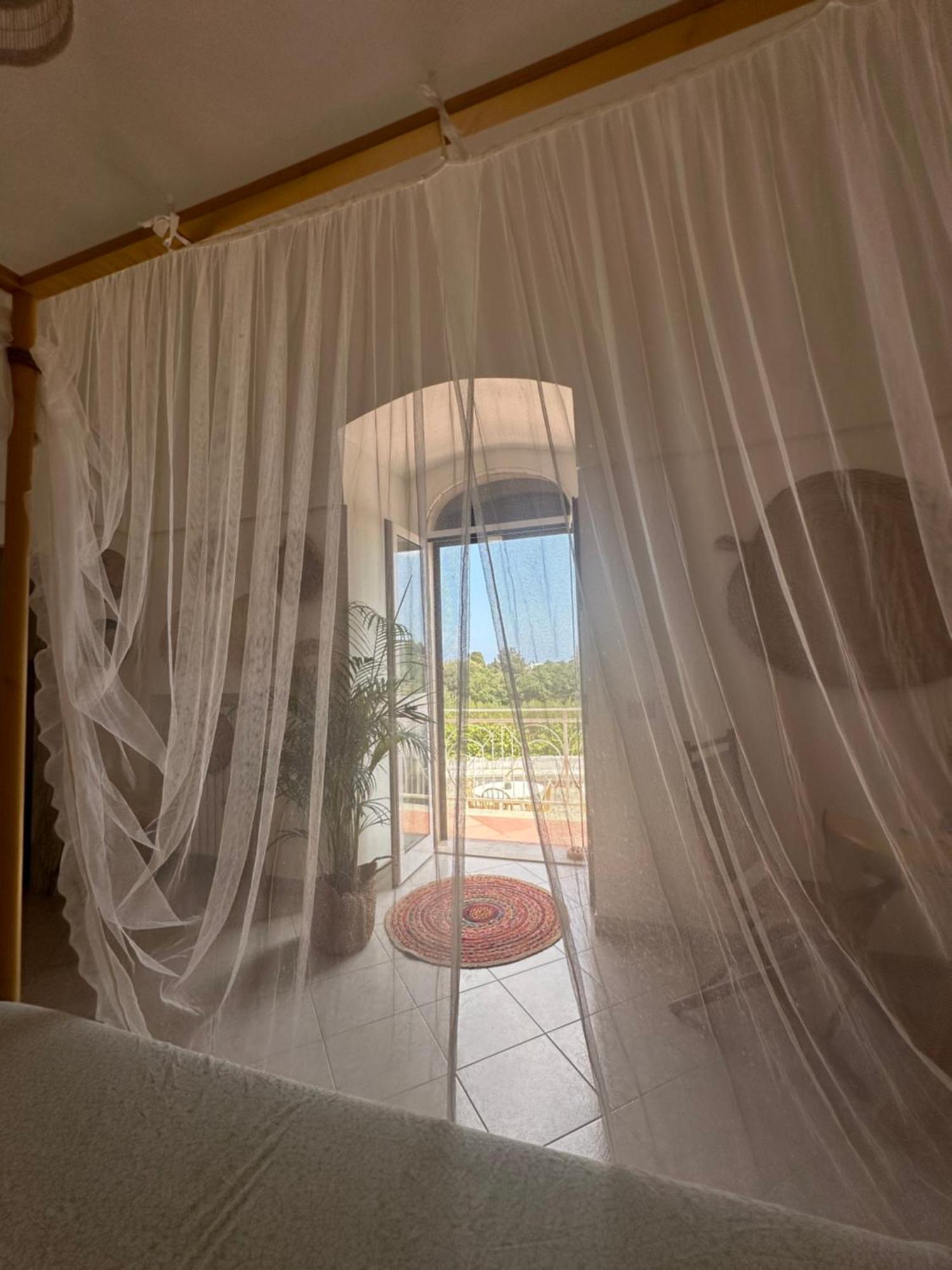 B&B Villa Tiziana モノーポリ エクステリア 写真